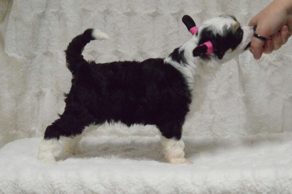 Kaitlin Beyond Millies Eternals