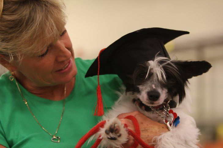 Shida Triple Trouble