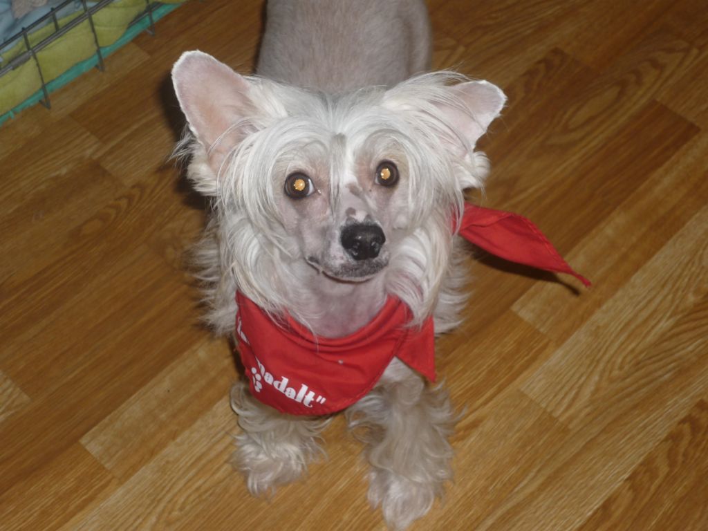 I'skytrouble's Angel My Monja Girl