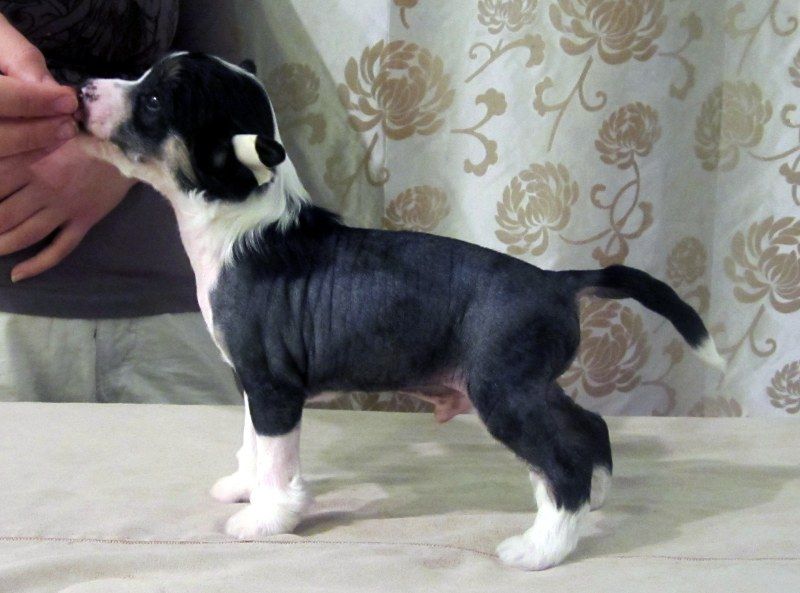 Kuminaaman Moomin Rock