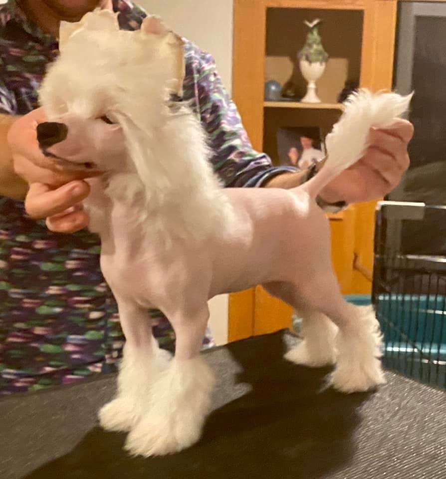 Speechless Lets Get The Party Started