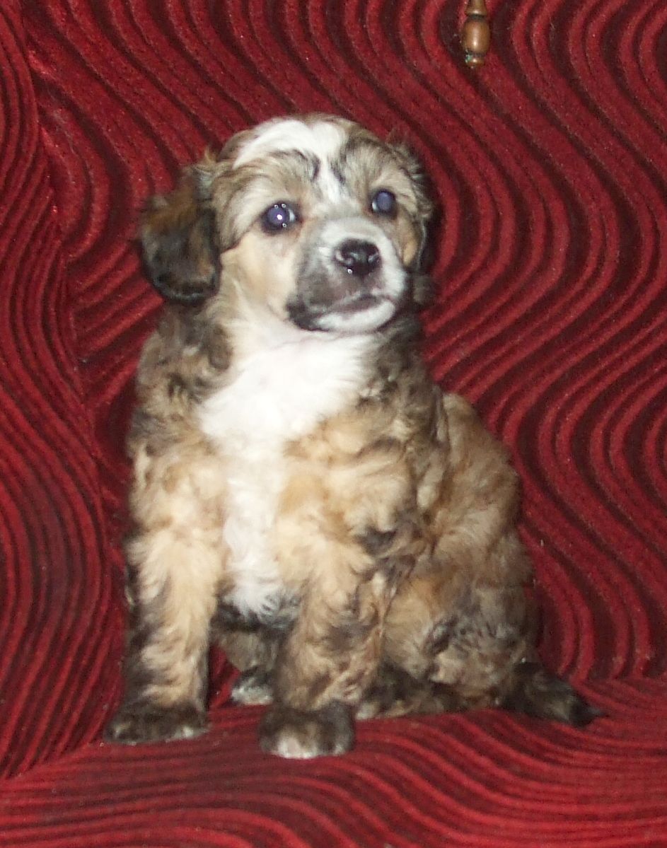 Uranus z Jasne hvezdy