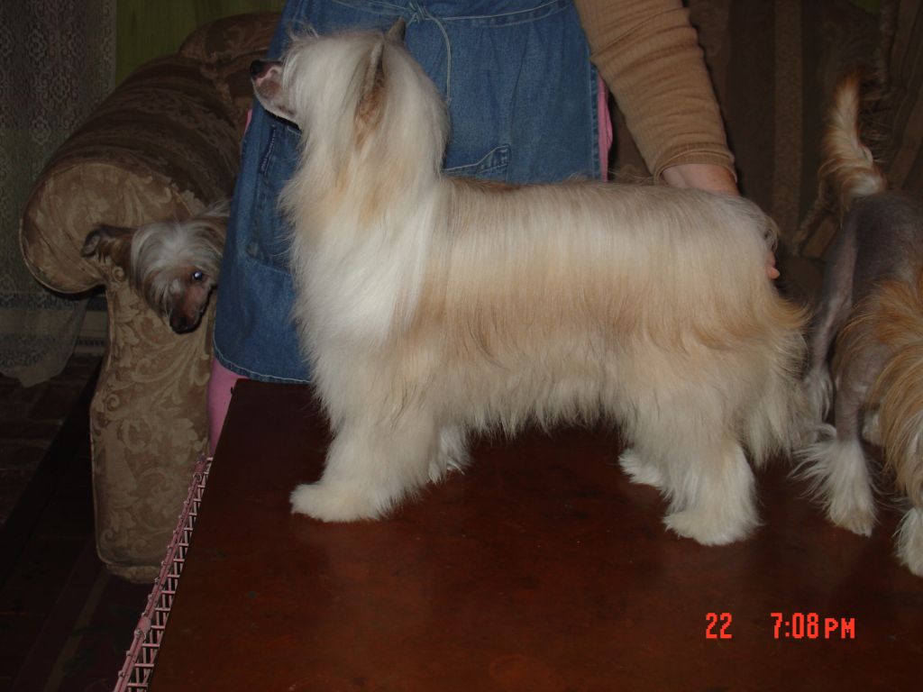 Paradice Made For Charming