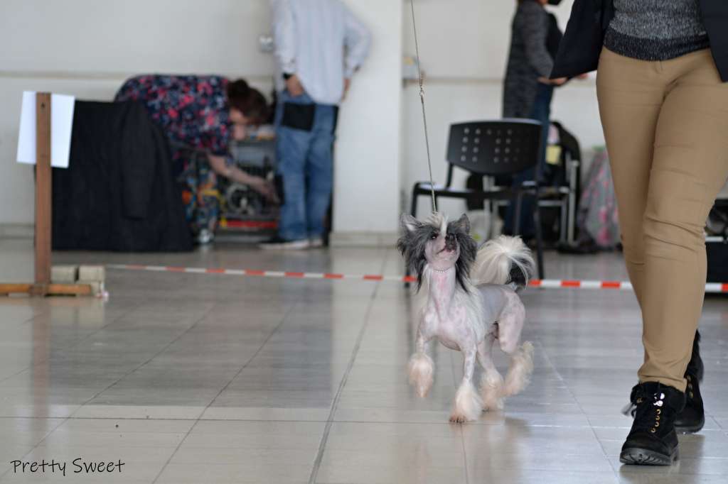 Sofiris Show Zest For Life