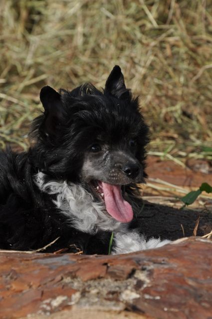 Elfgrace Zhaneyra Nivera