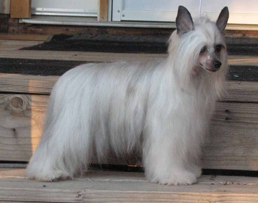 Crest-Vue's Not What You'd Expect