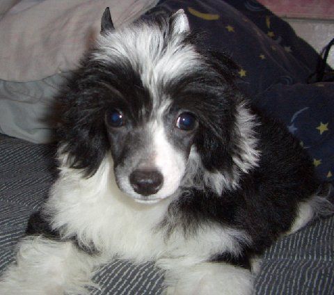 Kamaji Double Take At Regal Image