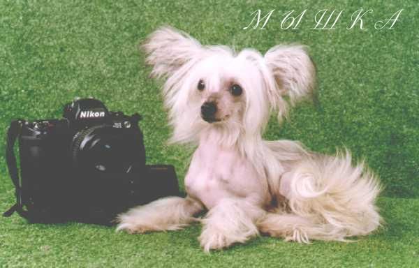 Picture