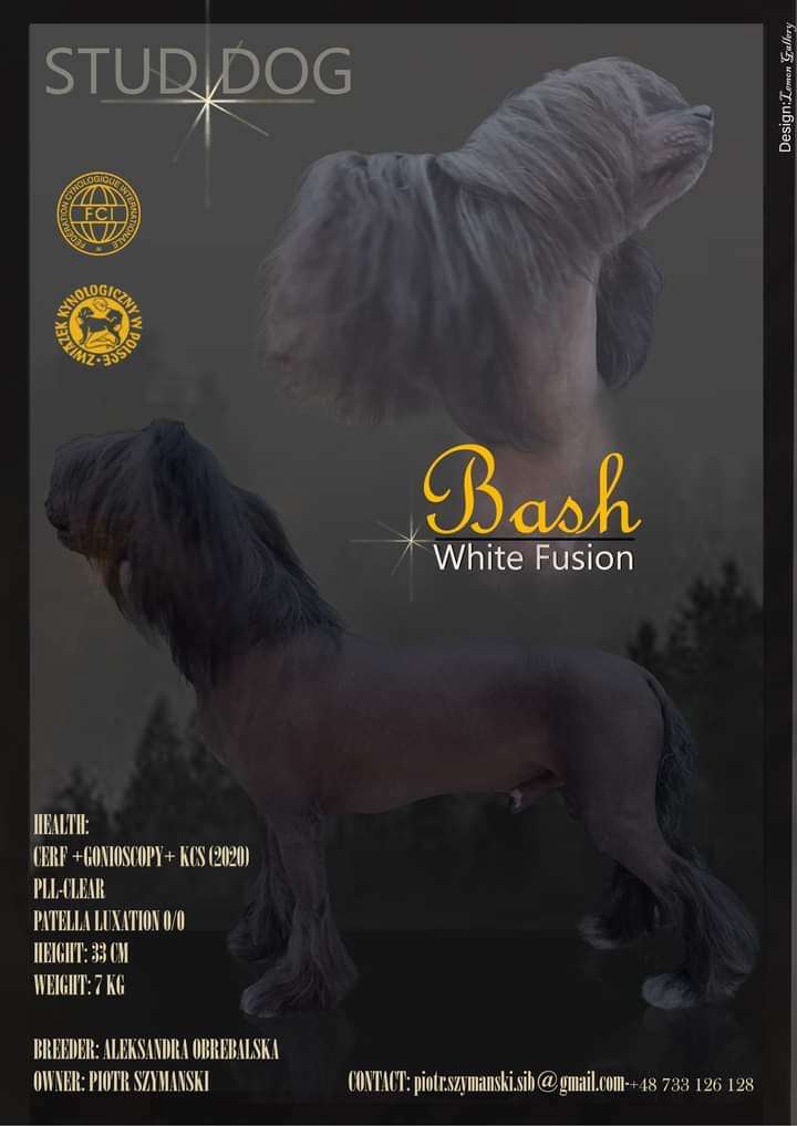 Bash White Fusion