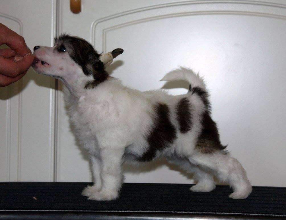 Viuvaun I'm Just Sayin'