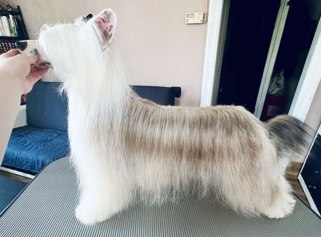 Imitujacy Dobro Akizabo