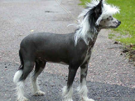 Sun Dan I'm So Charming