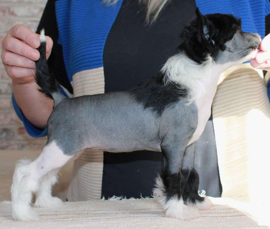 Chattanooga's Jääköön Rakkaus