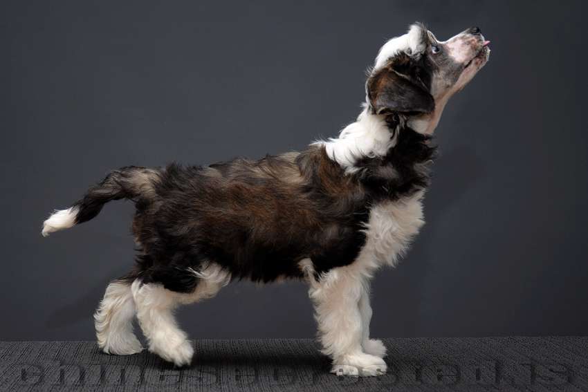 Practical Hero Time 2 Success