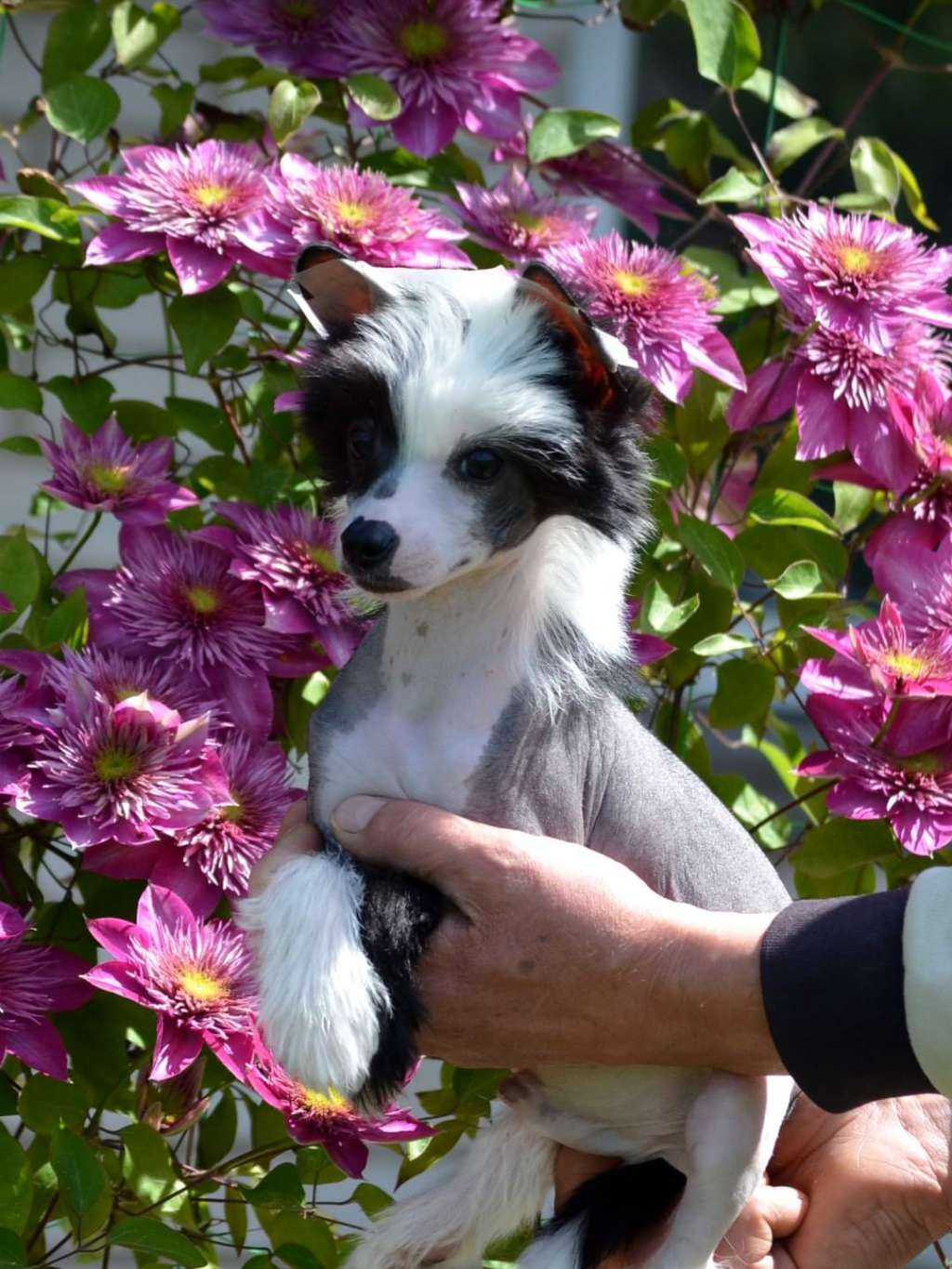 Magic of Success Zest For Life