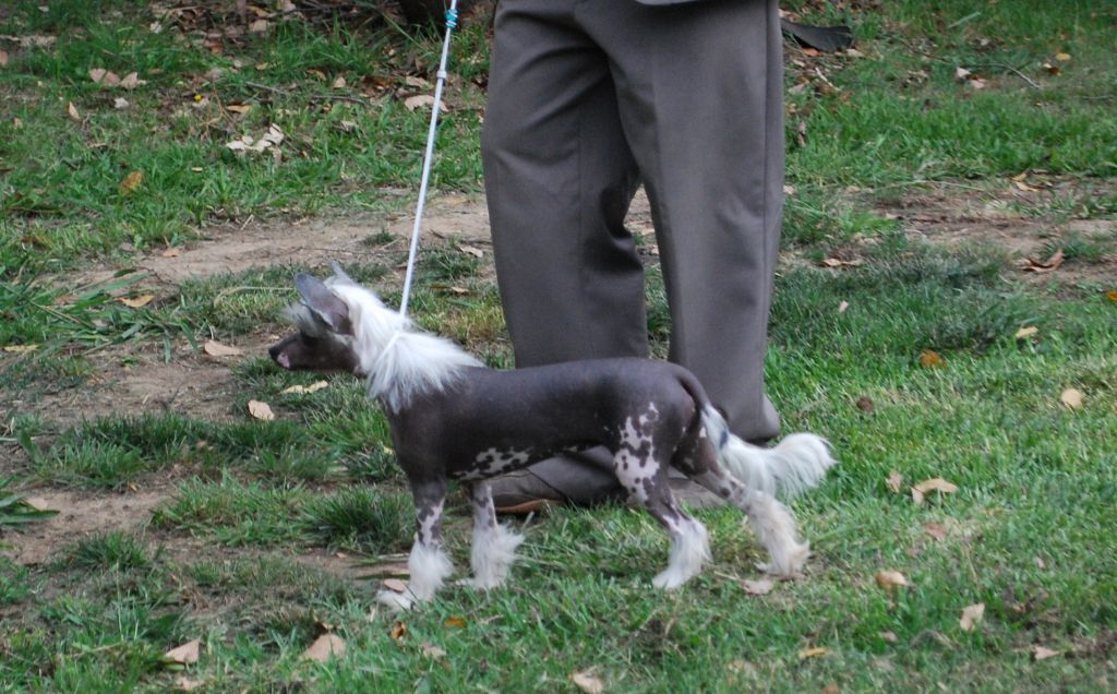 Kimissa Color Me Pretty