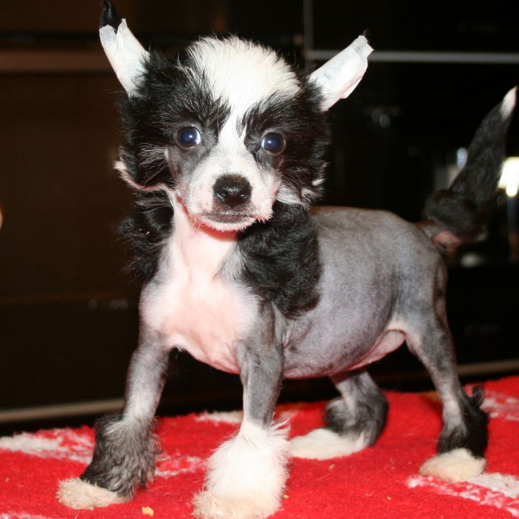 Habiba Girls Will Be Girls 