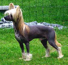 Blandora The Best Of The Best