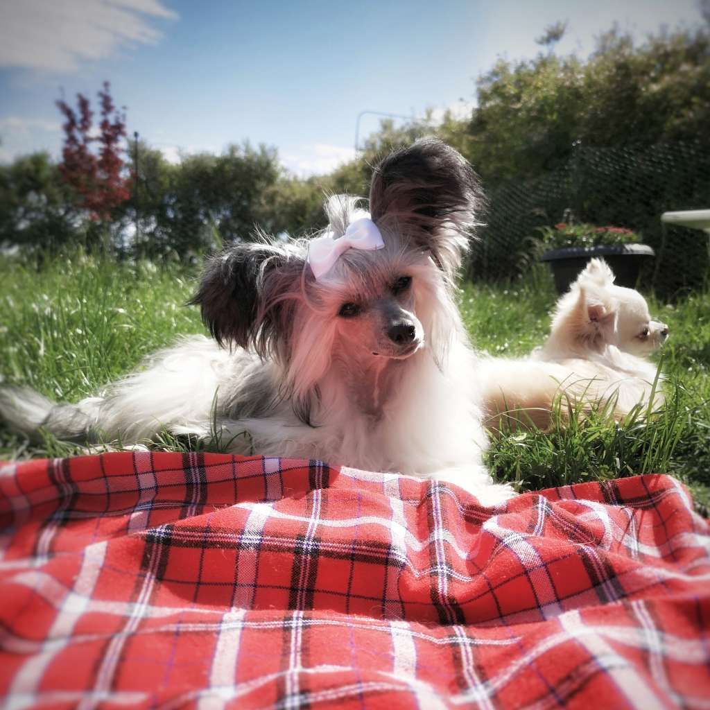 EXxiino's Crazy Mind Get Behind