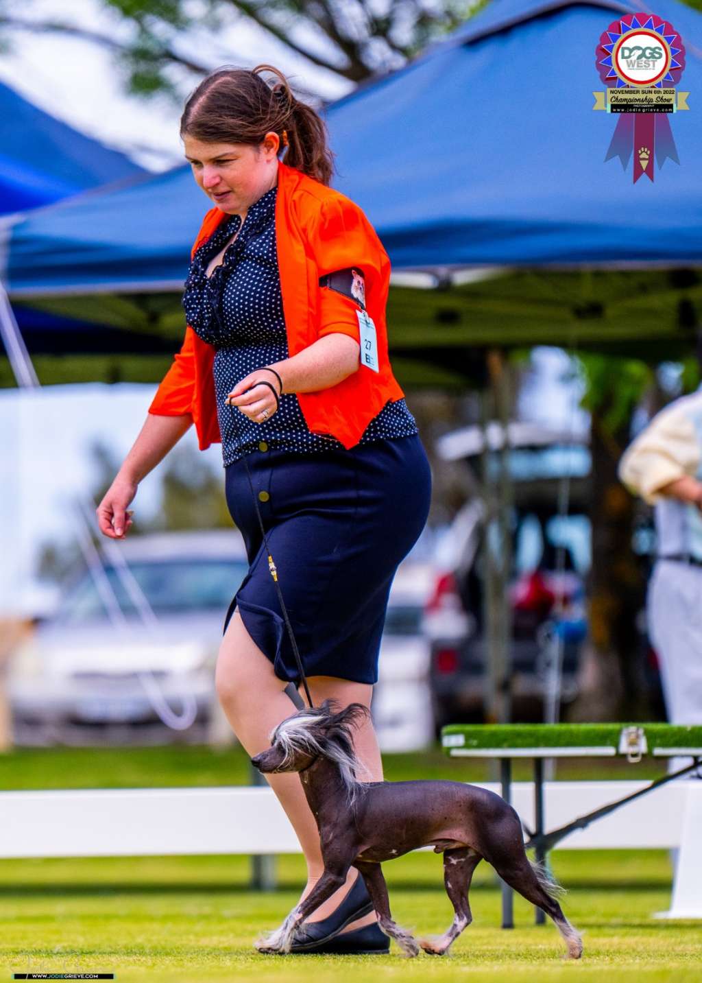 Funtosy I Am The Law