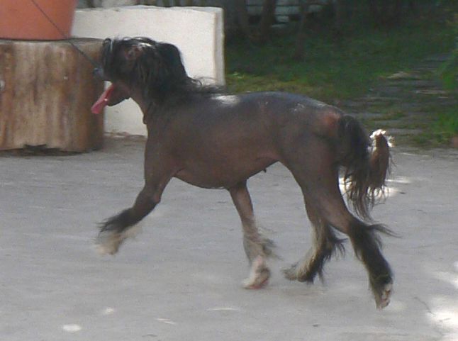Picture