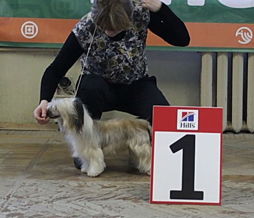 Irgen Gold Dominicana