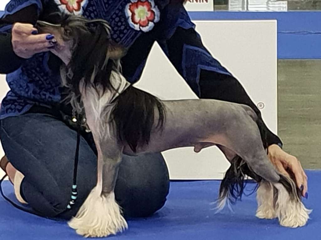 Bubbling Spirit Jimmy Choo