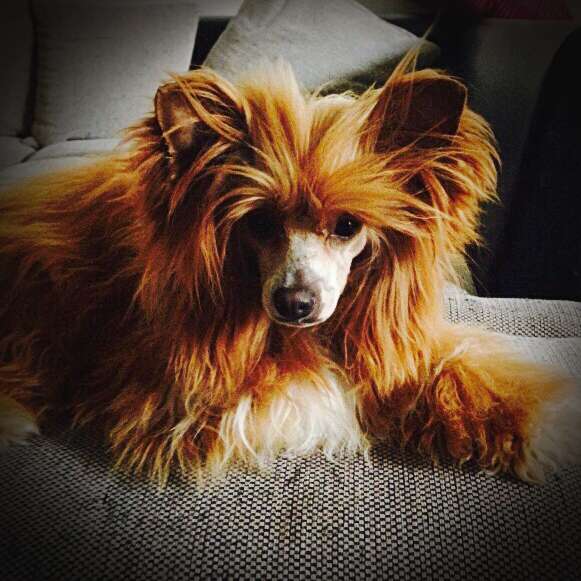 Captain Jack Sparrow Makes of Magic