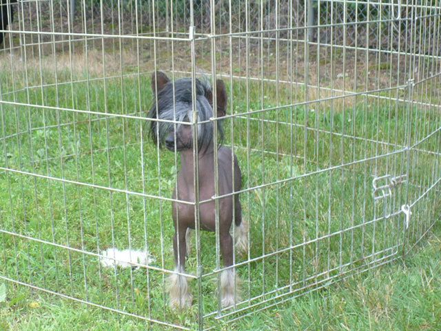 Obie's To Know Me Is To Love Me