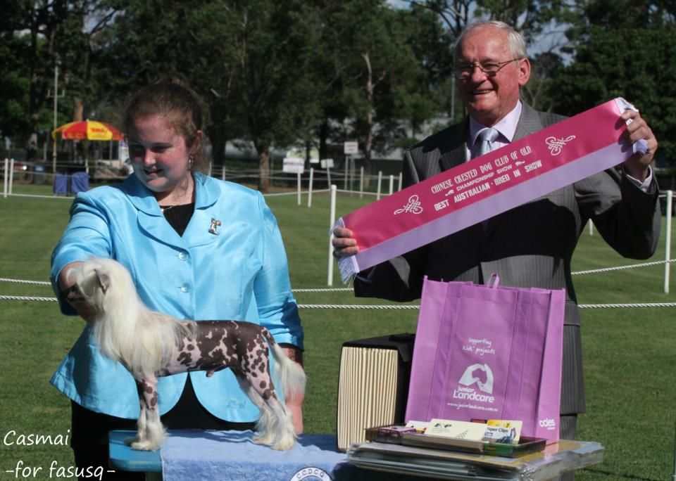 Sherabill Karma Chameleon