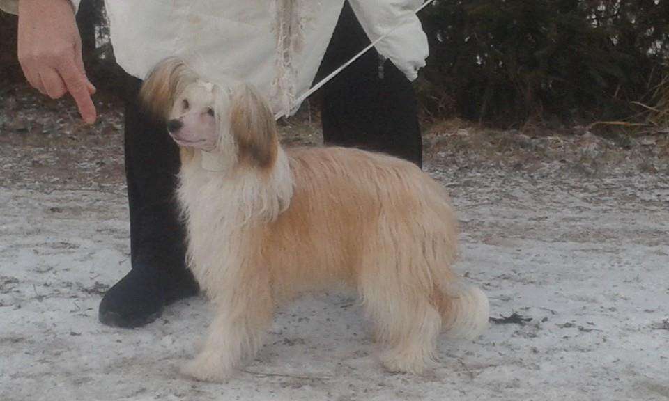 Namilon Tuttie Frutti