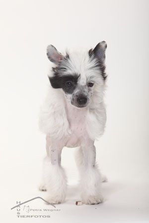 Another Heartbreaker of Candymoor Castle