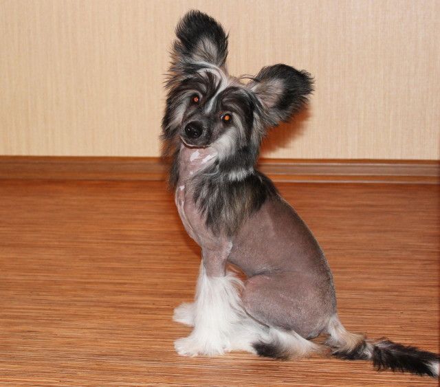 Sky Miracle Graph Monte Kristo