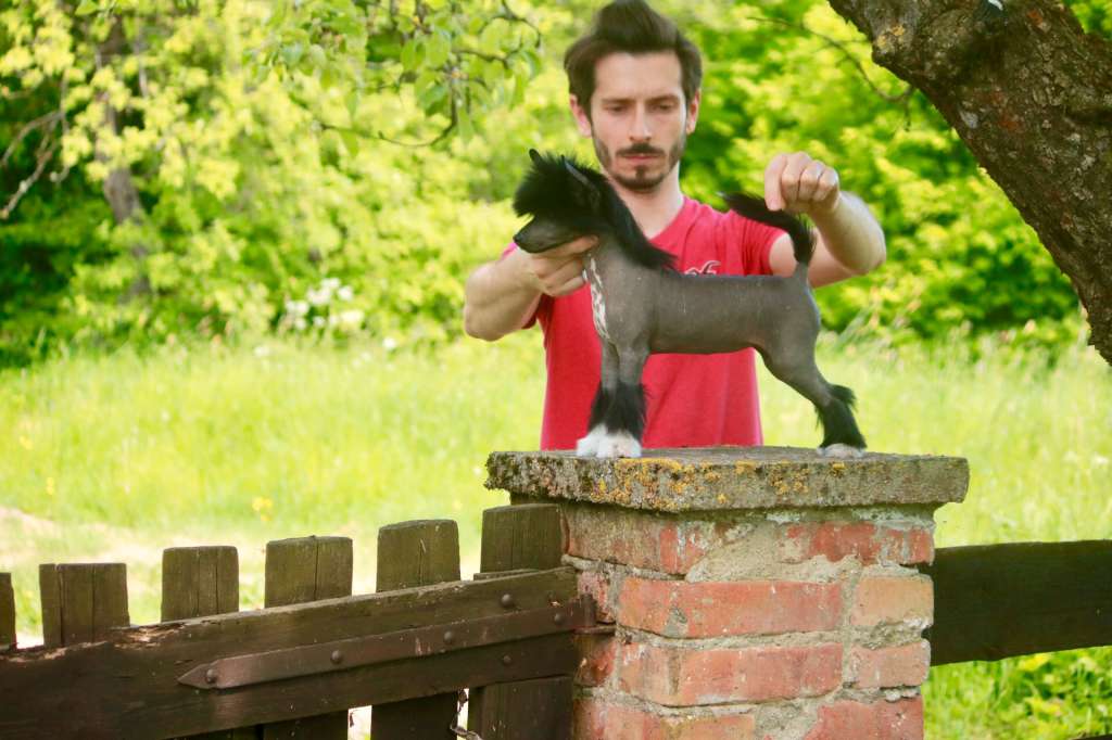 Nie Sypiaj z Nieznajomym Next Germanika