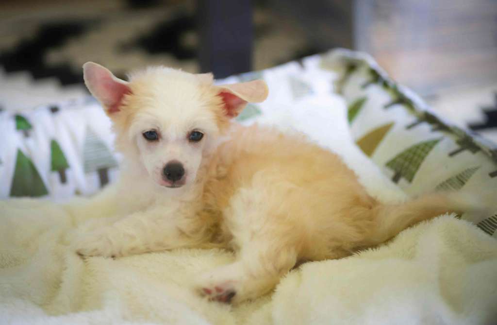 Concrete Clouds Friendly Face