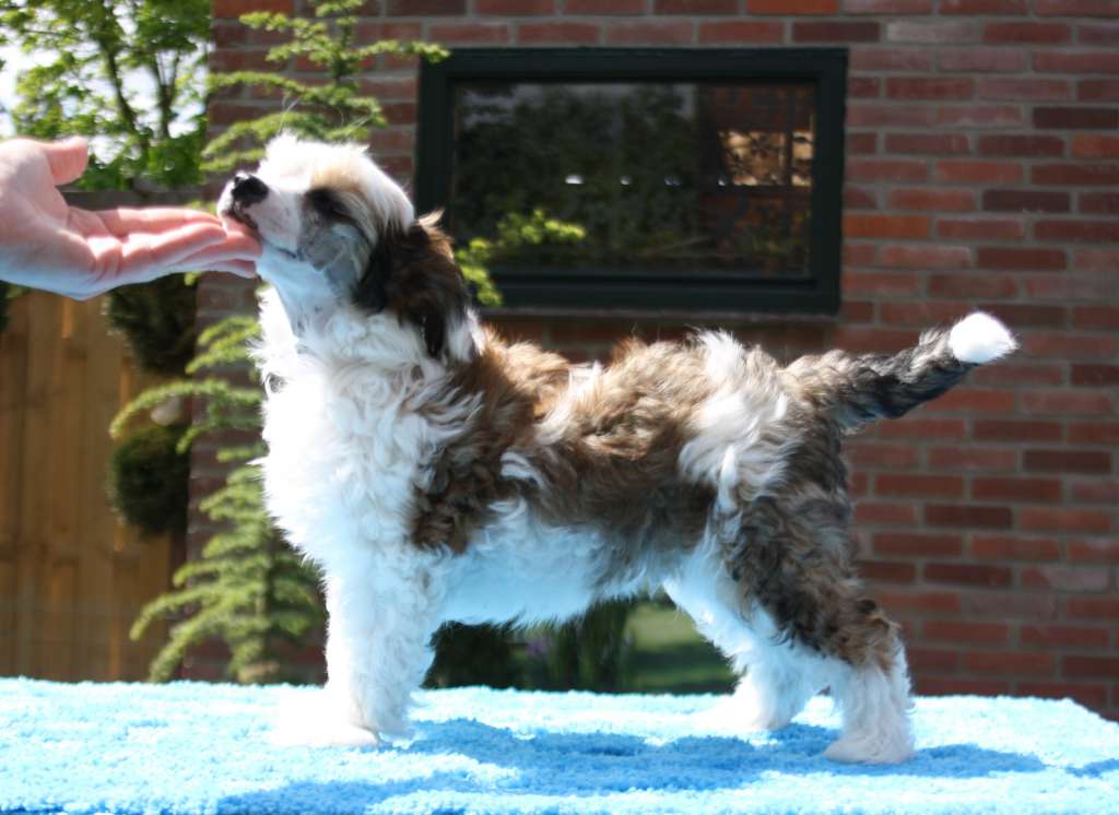 Laughing Out Loud of Angel's Legacy