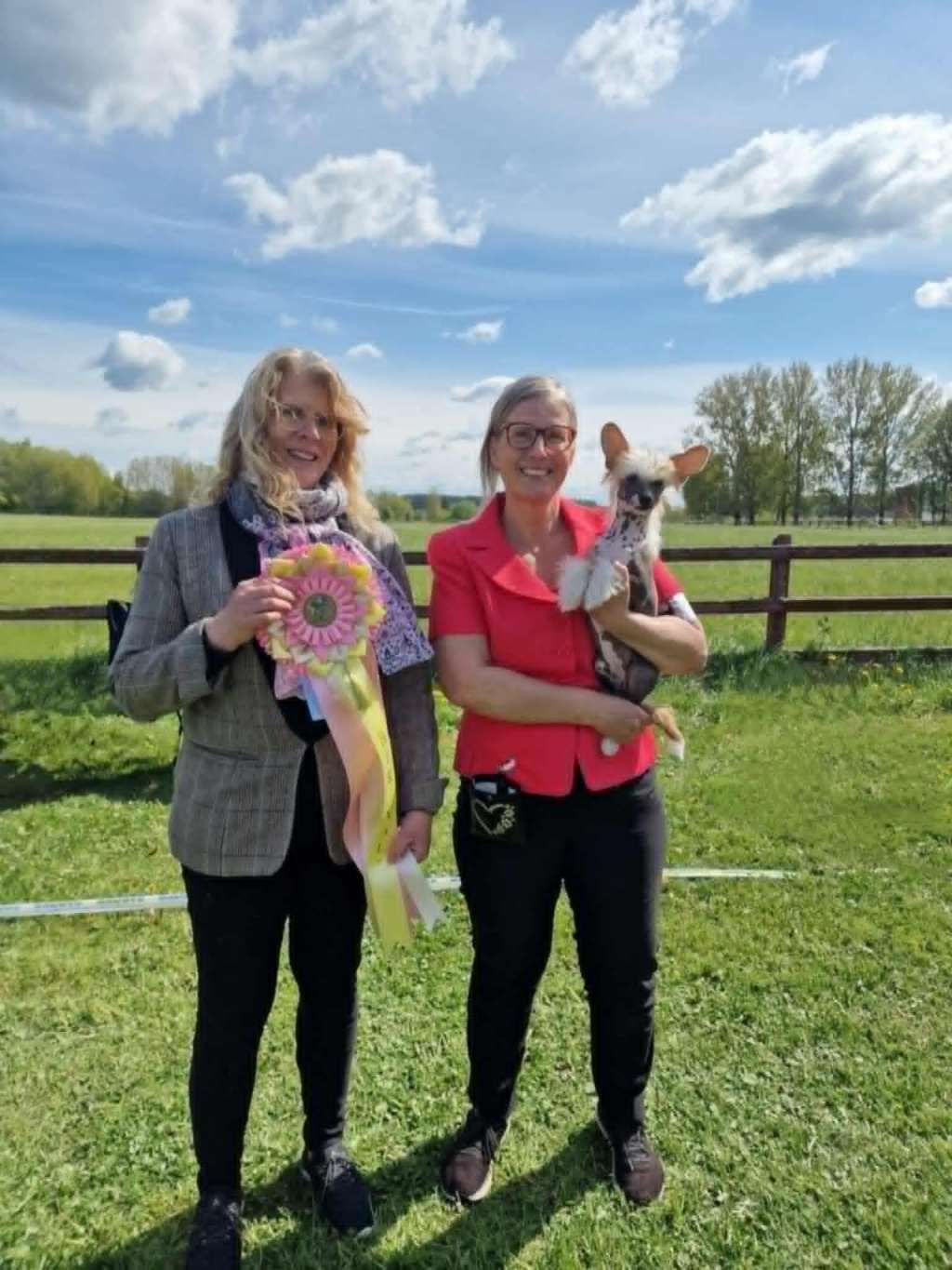 Bellatrix Luckycharm Salsa