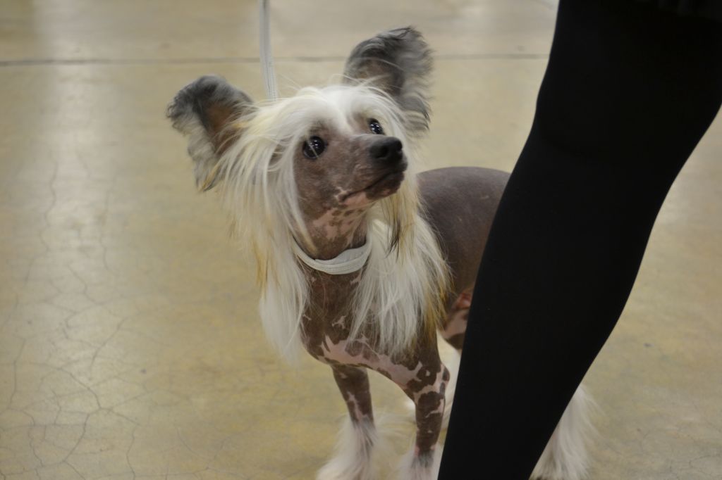 Punjin's I Was Born When You Kissed Me