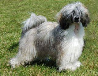 Princess Leia's In The Air Tonight