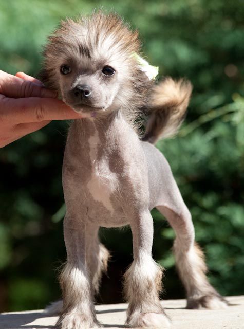 Zlippery when Wet De GabriTho