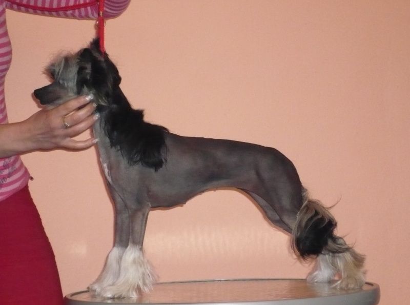 Florietta z Teramonu