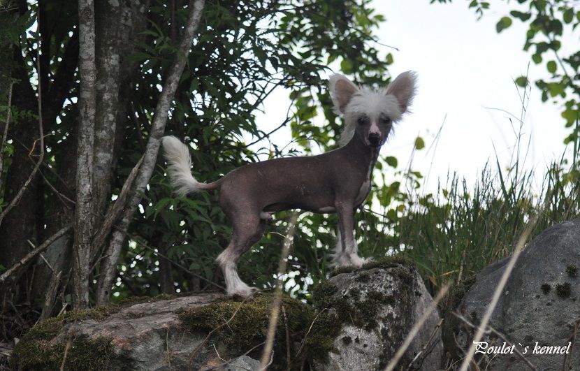 Eugenios Brown Barker