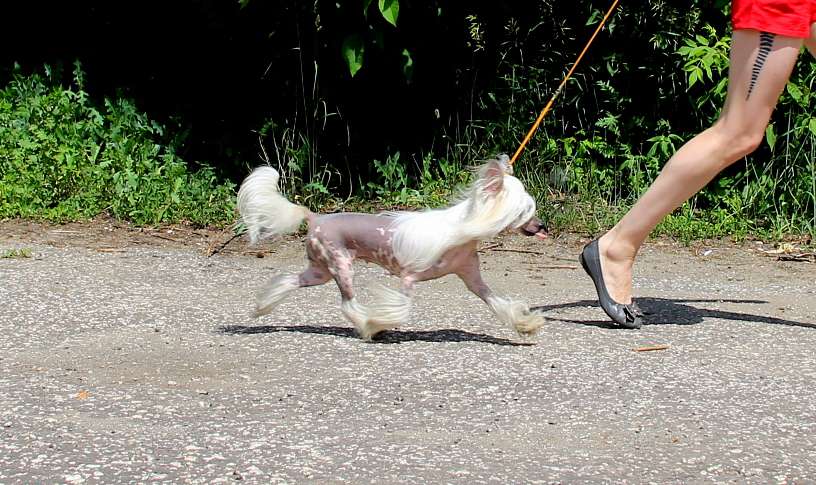 Zagadochnaya Lora s Gostinogo Dvora