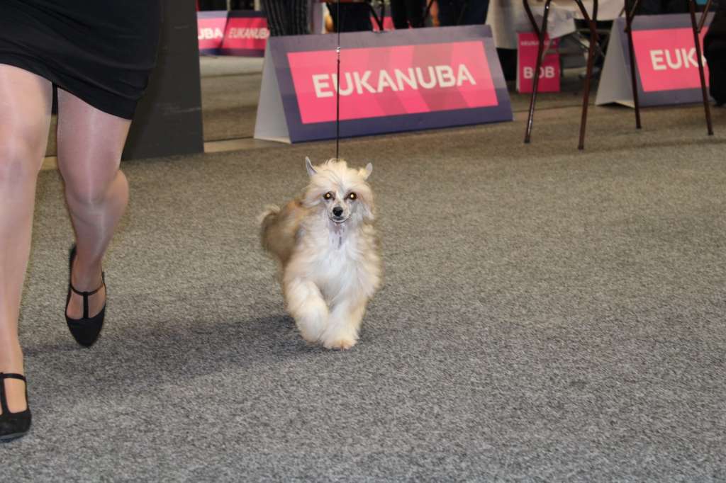 Udessa Sweet Love of Mine