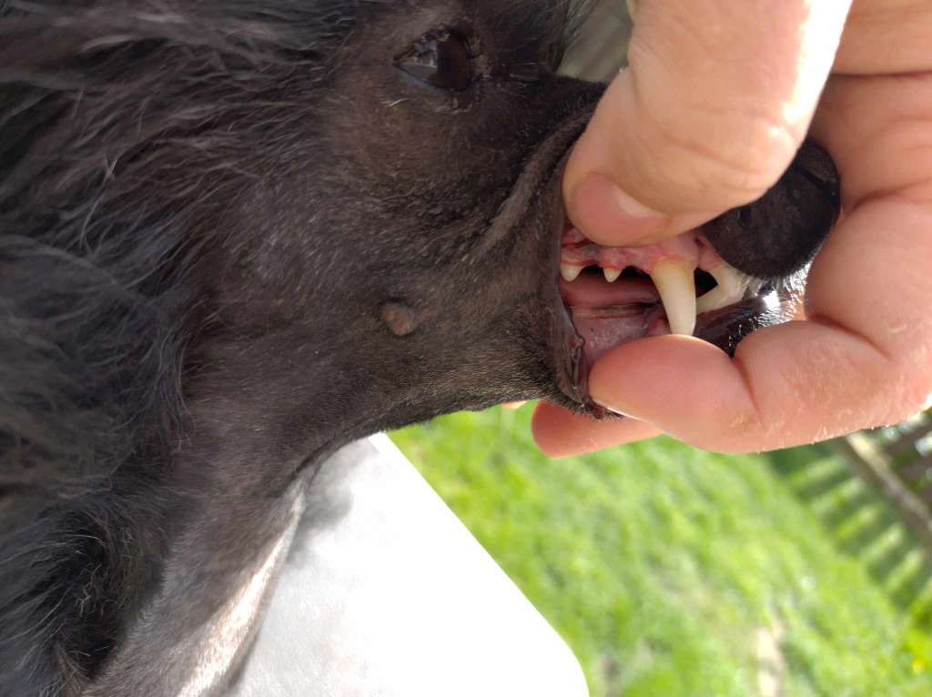 Fancy Flowers Don't Stop The Music