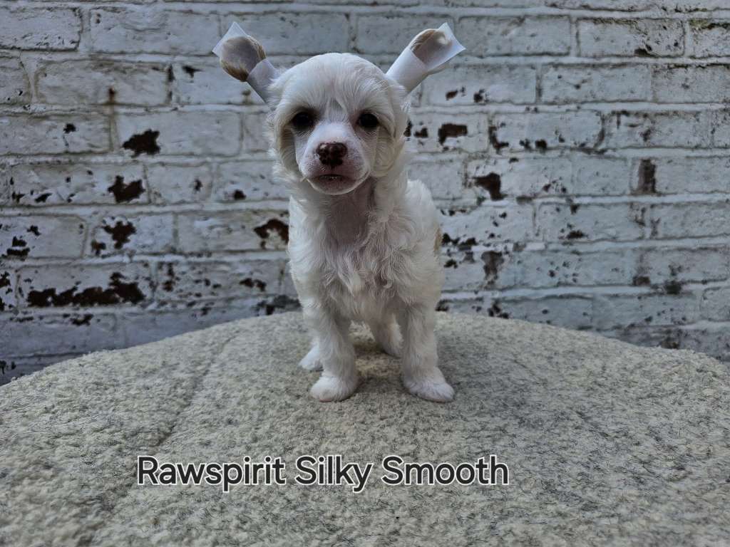 Rawspirit Silky Smoothh