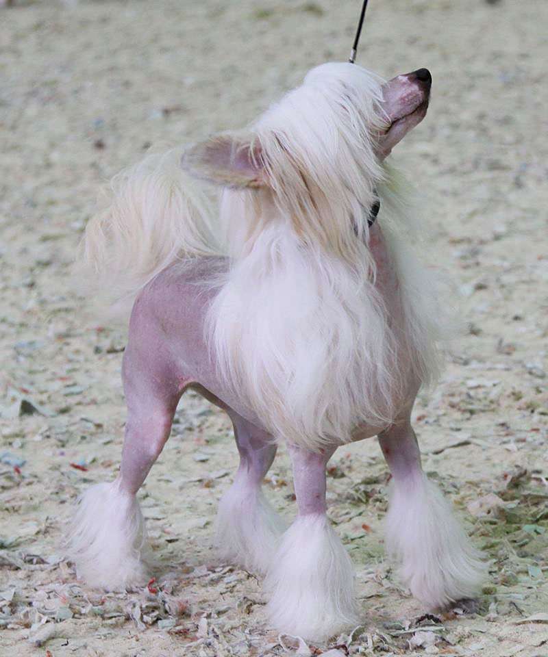 I'm Hot Heybett Jemalle