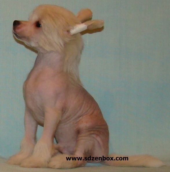 Svante Svanteson solnechnaya dinastiya zenbox