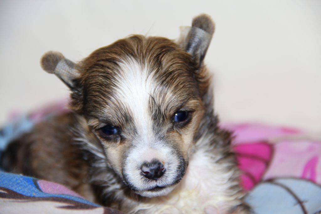 Gdansk Artagasamazis