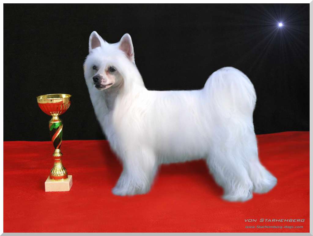 Athena Allegra von Starhemberg